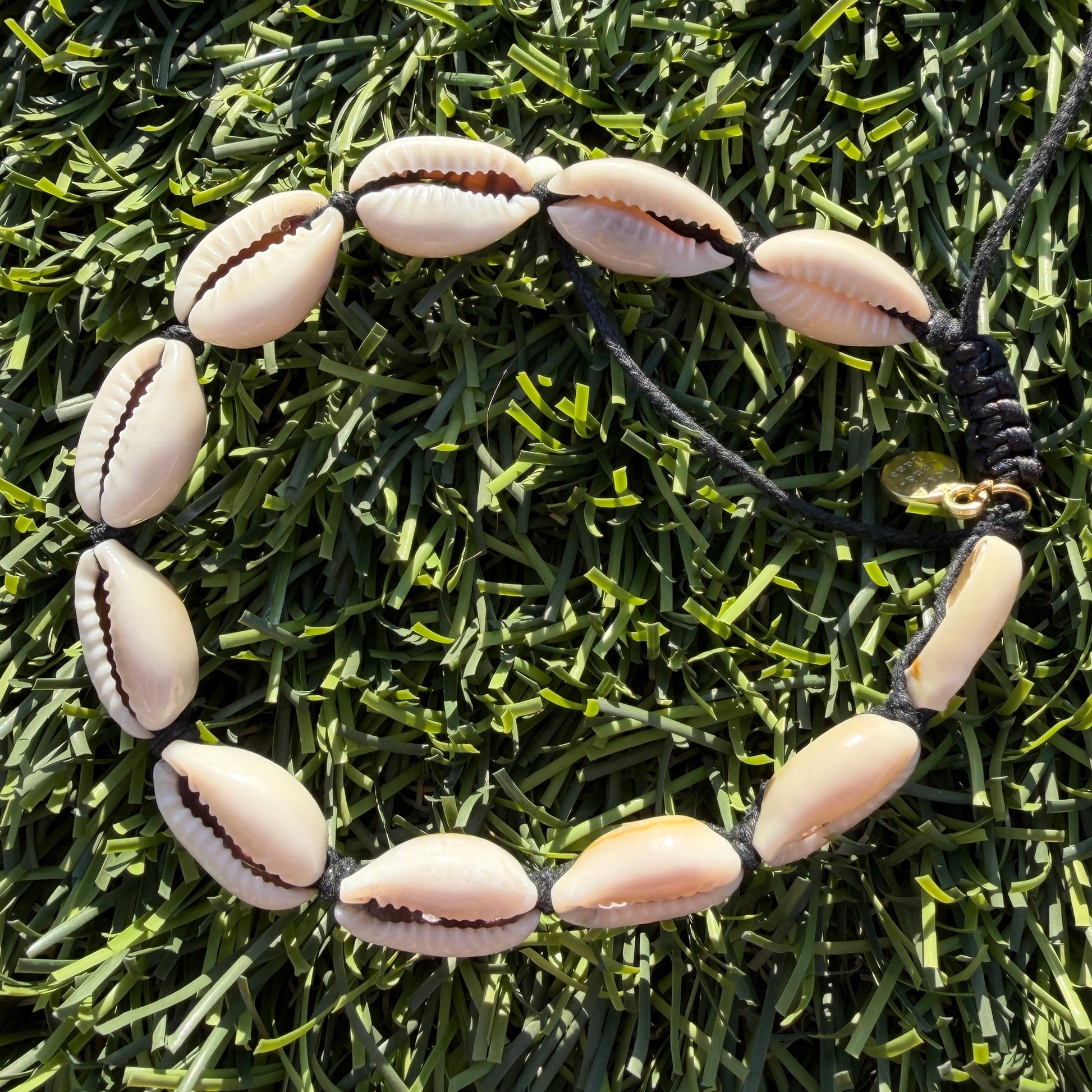 Necklace with cowrie shells on a grass background