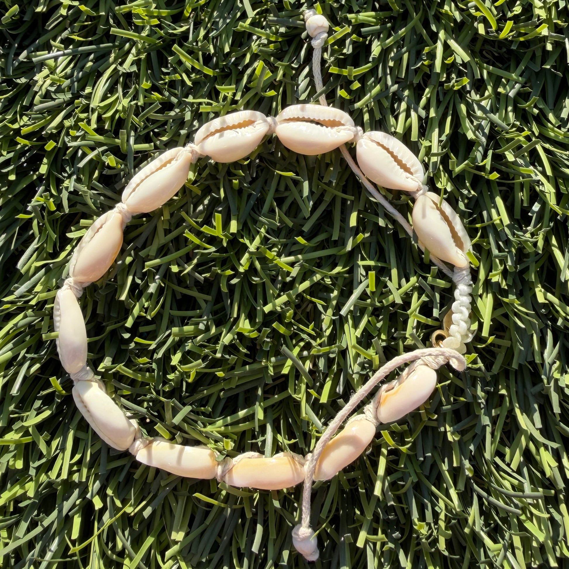 Cowry bracelet on a grassy surface